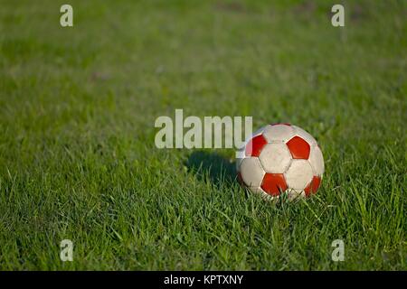 Fußball auf dem Rasen Stockfoto