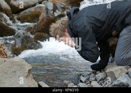 Trinken aus einem stream Stockfoto