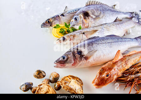 Hohen Winkel noch Leben Blick auf frischen, rohen Fisch, Muscheln und Meeresfrüchte arrangiert in attraktiven Anzeige auf weißem Hintergrund mit Zitrone Stockfoto