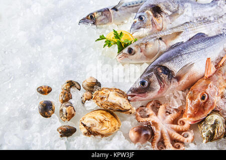Hohen Winkel noch Leben der Vielzahl an Raw frischen Fisch und Schalentiere auf Bett von kaltem Eis in Meeresfrüchten Marktstand mit Kopie Raum Stockfoto