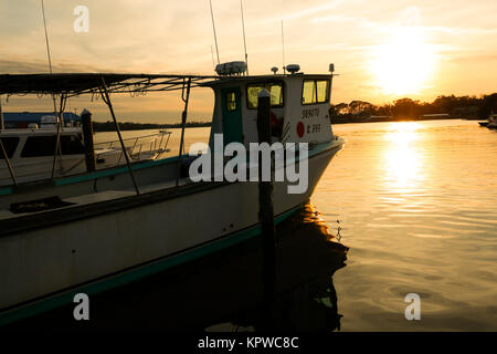 Connercial Fischerboote angedockt an Kings Bay, Crystal River, FL Stockfoto