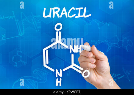 Hand mit Bleistift zeichnet chemische Strukturformel von Uracil Stockfoto