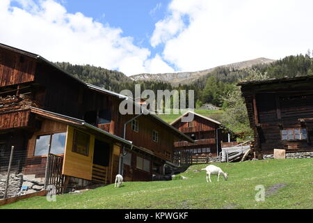 Mountain Village, Glanz, matrei Matrei, Berghänge, Holzhäuser, Bauernhof, Weide Stockfoto