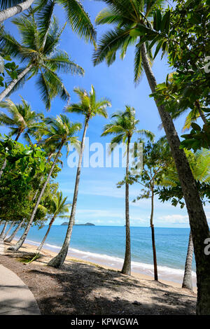 Von Palmen gesäumten Sandstrand von Clifton Beach in der Nähe von Cairns, Far North Queensland, FNQ, QLD, Australien Stockfoto