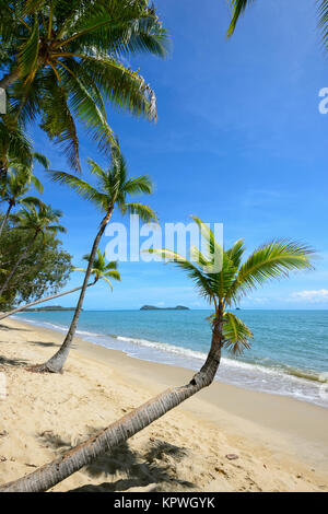 Von Palmen gesäumten Sandstrand von Clifton Beach, Cairns, Northern Beaches vorort Far North Queensland, FNQ, QLD, Australien Stockfoto