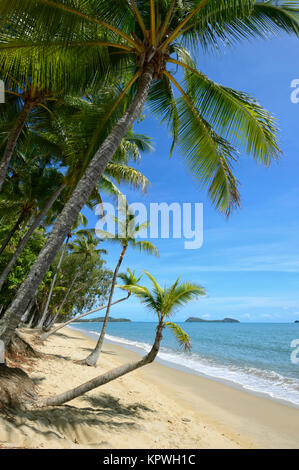 Von Palmen gesäumten Sandstrand von Clifton Beach, Cairns, Northern Beaches vorort Far North Queensland, FNQ, QLD, Australien Stockfoto