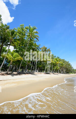 Von Palmen gesäumten Sandstrand von Clifton Beach, Cairns, Northern Beaches vorort Far North Queensland, FNQ, QLD, Australien Stockfoto