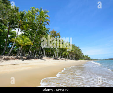 Von Palmen gesäumten Sandstrand von Clifton Beach, Cairns, Northern Beaches vorort Far North Queensland, FNQ, QLD, Australien Stockfoto