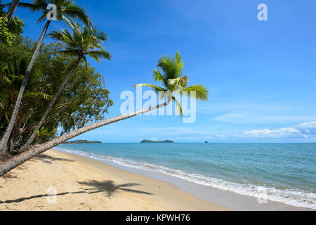 Von Palmen gesäumten Sandstrand von Clifton Beach, Cairns, Northern Beaches vorort Far North Queensland, FNQ, QLD, Australien Stockfoto