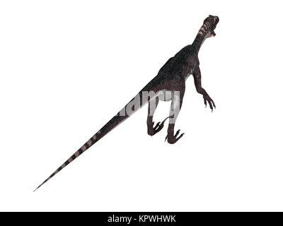 3D-Render von einem Dinosaurier in einem weißen Bühne Stockfoto