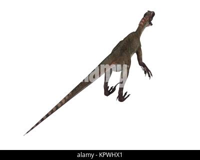 3D-Render von einem Dinosaurier in einem weißen Bühne Stockfoto