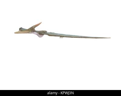 3D-Render von einem Dinosaurier in einem weißen Bühne Stockfoto