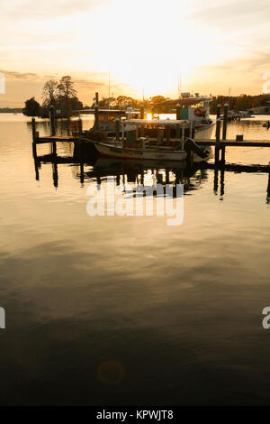 Connercial Fischerboote angedockt an Kings Bay, Crystal River, FL Stockfoto