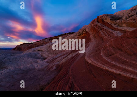 White Pocket, Vermillion Cliffs Arizona. Sandstein Oase Stockfoto