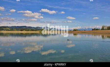 Feder Szene am See Pfaeffikon Stockfoto