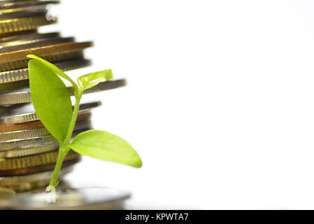 Anlagen- und Menge Münzen Stockfoto