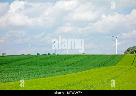 Grünes Feld, Ackerland mit Windmühlen Stockfoto