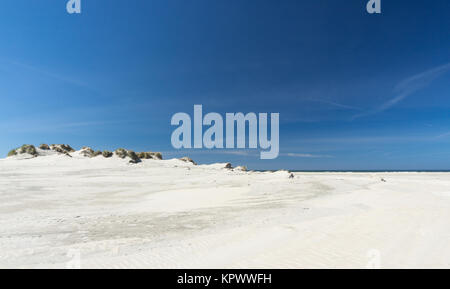 Dünen Panorama an der Nordseeküste von Dänemark Stockfoto