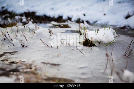 gefrorene Pfütze Stockfoto