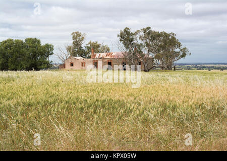 Alten stillgelegten und verlassenen Bauernhof in Verfall einer Kultur der Anbau von Weizen umgeben. In Sandergrove, South Australia entfernt. Stockfoto
