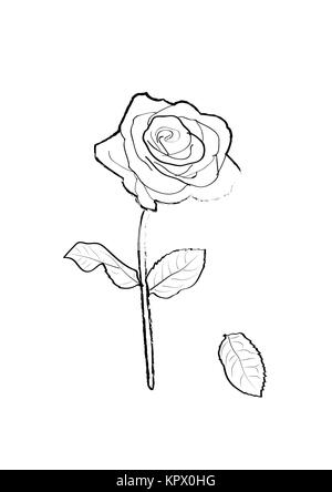 Vektor Illustration rose Symbol isoliert mit Weiß Stockfoto