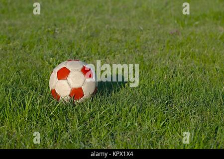 Fußball auf dem Rasen Stockfoto