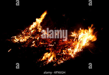 Wald unter Feuer Stockfoto