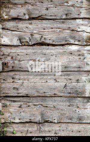 Alten verfallenen Holztür Stockfoto