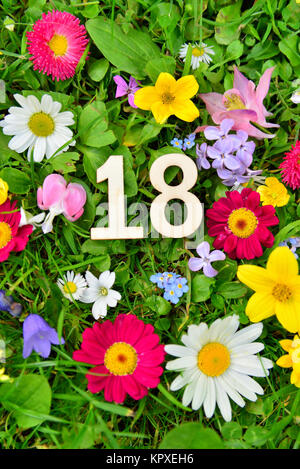 18 geburtstag Zahl auf Blumenwiese Stockfoto