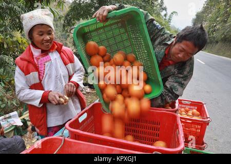 Rongjiang, Chinas Provinz Guizhou. 17 Dez, 2017. Dorfbewohner Transfer neu geernteten Navel Orangen in Rongjiang Grafschaft Miao-Dong Autonomen Bezirks Qiandongnan, Südwesten Chinas Provinz Guizhou, Dez. 17, 2017. Credit: Liu Xu/Xinhua/Alamy leben Nachrichten Stockfoto