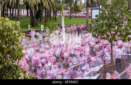 Playa de Las Americas, Teneriffa, Spanien. 17 Dez, 2017. Impressionistische Bilder der Wanderung 4 Leben, Carrera por la Vida 2017. Tausende von rosa gekleideten Menschen gingen durch die Playa de Las Americas Anheben über € 20.000 Euro für Krebs Nächstenliebe, AMATE und AECC. Stockfoto