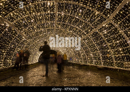 Berlin, Deutschland. 17 Dez, 2017. Die Besucher gehen durch ein Licht tunnel im botanischen Garten in Berlin, Deutschland, 17. Dezember 2017. Die Besucher können die mehr als eine Millionen Lichter in der Weihnachtszeit Garten bis 07. Januar 2018 zu bewundern. (Langzeitbelichtung) Credit: Paul Zinken/dpa/Alamy leben Nachrichten Stockfoto