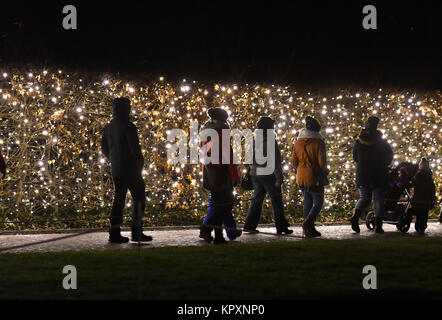 Berlin, Deutschland. 17 Dez, 2017. Besucher Pass eine beleuchtete Hedge im botanischen Garten in Berlin, Deutschland, 17. Dezember 2017. Bei Einbruch der Dunkelheit die Besucher können die mehr als eine Millionen Lichter in der Weihnachtszeit Garten bis 07. Januar 2018 zu bewundern. Credit: Paul Zinken/dpa/Alamy leben Nachrichten Stockfoto