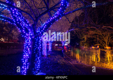 Berlin, Deutschland. 17 Dez, 2017. Besucher Pass eine beleuchtete Baum im botanischen Garten in Berlin, Deutschland, 17. Dezember 2017. Bei Einbruch der Dunkelheit die Besucher können die mehr als eine Millionen Lichter in der Weihnachtszeit Garten bis 07. Januar 2018 zu bewundern. (Langzeitbelichtung) Credit: Paul Zinken/dpa/Alamy leben Nachrichten Stockfoto