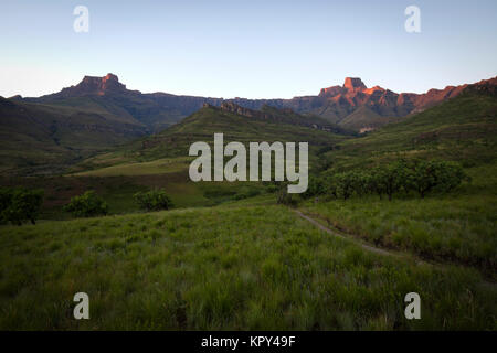 Royal Natal Nationalpark, Drakensberge, Südafrika. Stockfoto