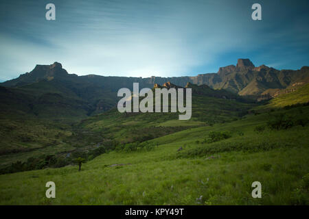 Royal Natal Nationalpark, Drakensberge, Südafrika. Stockfoto