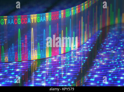 DNA-Sequenzierung nach Sanger Stockfoto