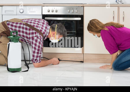 Arbeitnehmer Sprühen von Insektiziden auf Holzgehäuse Stockfoto