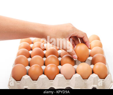 In den Händen einer Frau Eier auf weißem Hintergrund. Stockfoto