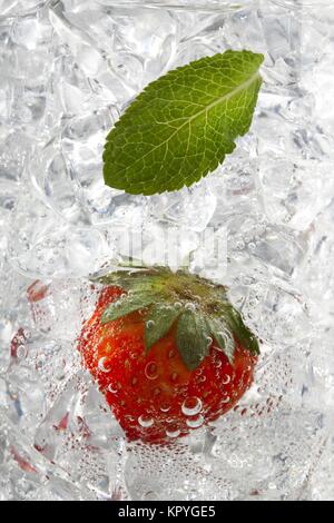 Pfefferminzblatt und Erdbeere auf Eiswürfel Stockfoto