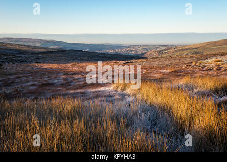 Winter Farben auf moorlandschaften über Hayfield Dorf in Derbyshire, England. Einen kalten frostigen Morgen mit dem Licht der Morgendämmerung auf die Gräser und Heidekraut. Stockfoto