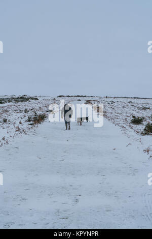 Männer gehen mit zwei Border Collies auf Hergest Ridge Kington Herefordshire UK Stockfoto