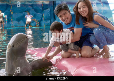 Irrawaddy-delfine, Mensch-tier-Interaktion. Stockfoto