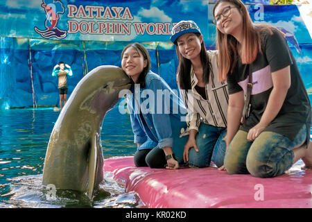 Irrawaddy-delfine, Mensch-tier-Interaktion. Stockfoto