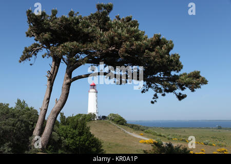 Leuchtturm Dornbusch auf Hiddensee (Rügen) Stockfoto