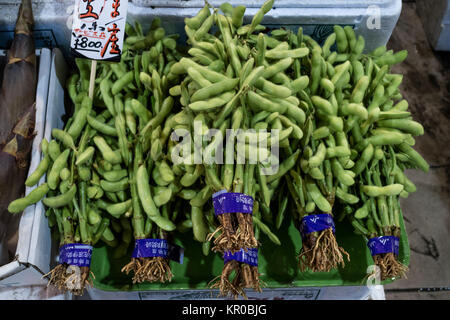 Kanazawa, Japan, 8. Juni 2017: frische Blumensträuße grün edamame, unreife Sojabohnen in den Pod, an der Omicho Markt Stockfoto