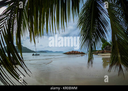 Küste auf Praslin anse Madge Stockfoto