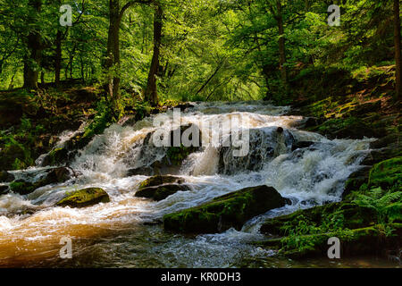 Wasserfall im Harz selke Wasserfall Stockfoto