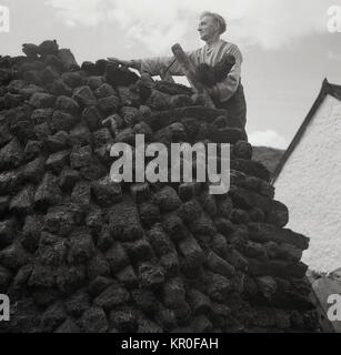 Historisches Bild aus den 1950er Jahren, das einen irischen Kleinhalter auf einer Holzleiter zeigt, der sorgfältig Torflogen auf einen großen und hohen Stapel neben seinem Häuschen legte. Torf oder Rasen ist verfallene Vegetation und wächst natürlich in den Mooren und Mooren, die Irland bedecken und war und ist, von den ländlichen Menschen ein wichtiger Winterbrennstoff für die Heizung verwendet. Stockfoto