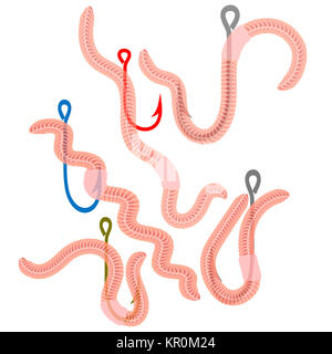 Tierische Erde rot Würmer zum Angeln isoliert Stockfoto